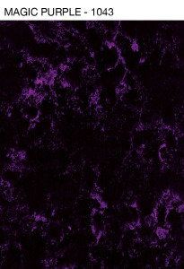 magic purple- 1043